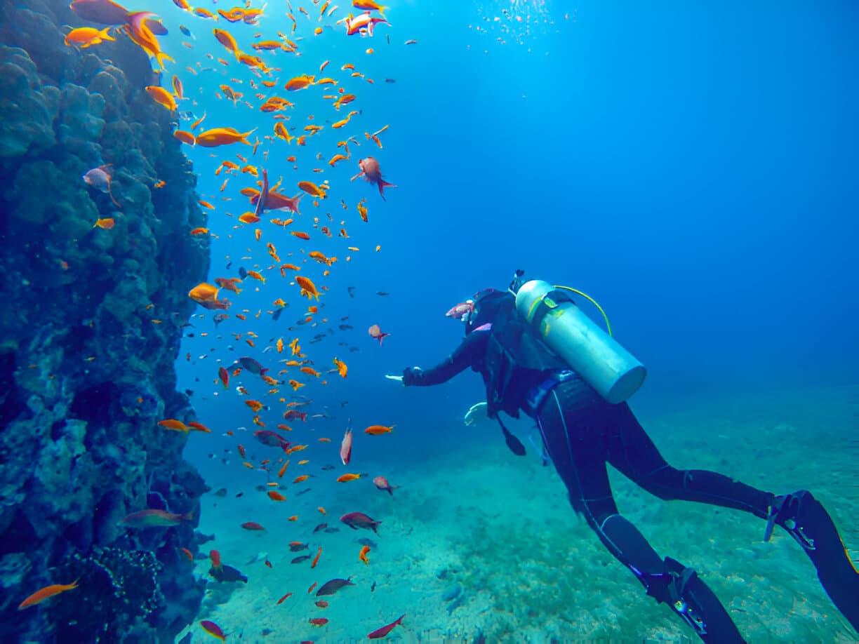Aqaba 2