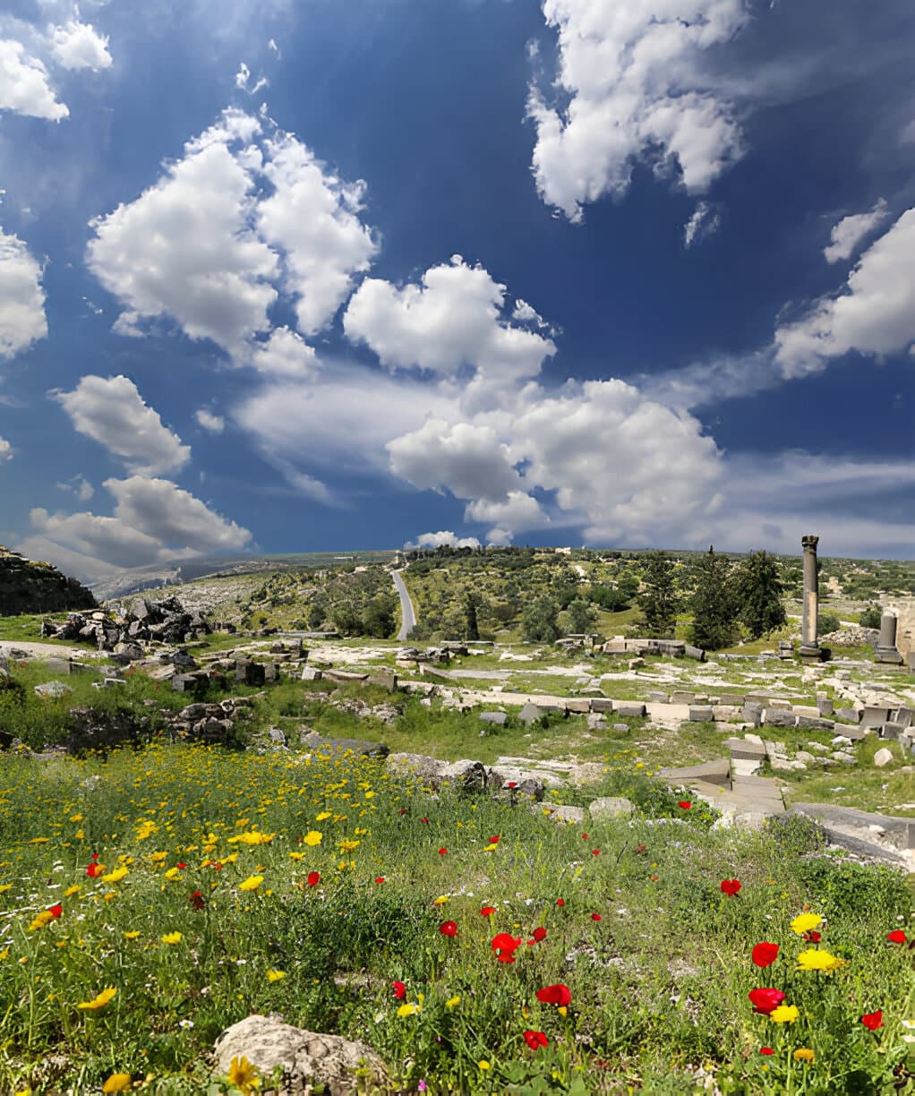 Umm Qais 2
