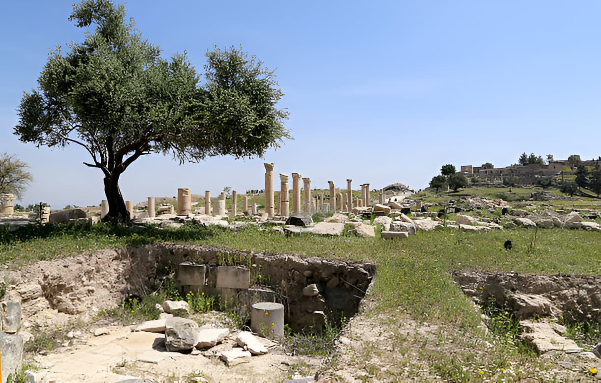 Umm Qais 6